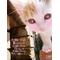 [V:4F4E][V:453C]大阪連合[V:453C][V:4F4E]