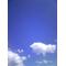Sky～青い大空～