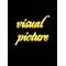 †visual picture†