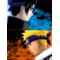 §NARUTO§