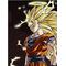ドラゴンボールZの団